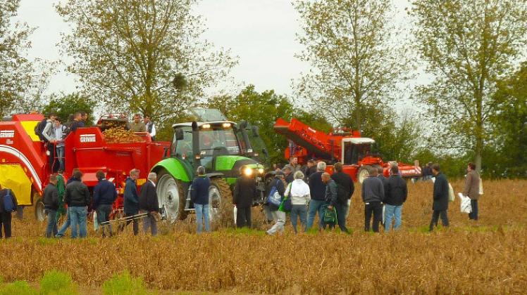 Europa: A New Theme for PotatoEurope: “Potatoes Feed and Meet the World
