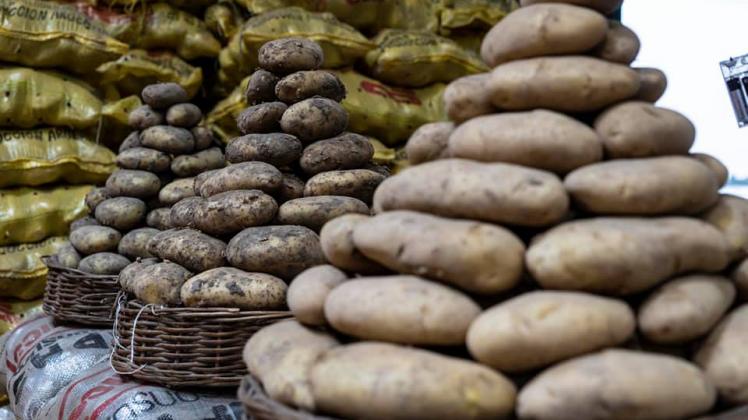 Islas del pacifico tierra paraguas Argentina: La papa es una de las verduras más consumidas por los argentinos  | ARGENPAPA