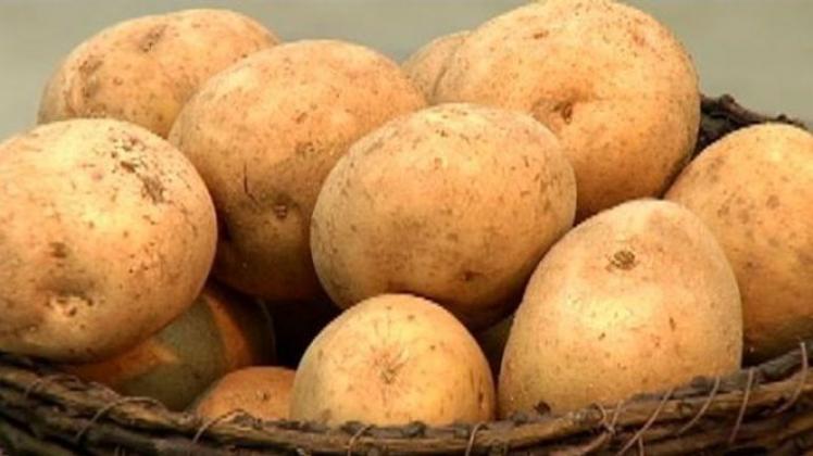 Bélgica: Des pommes de terre belges autres que la Bintje ? Voici la Louisa  et la Floribel